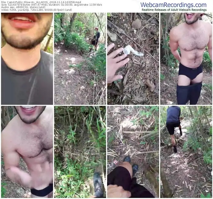 2024/11/14/cam4-_alladyn_-16-33-58