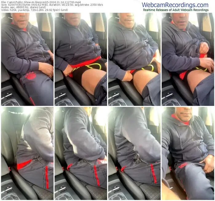 2024/11/14/cam4-likescock5-11-27-00