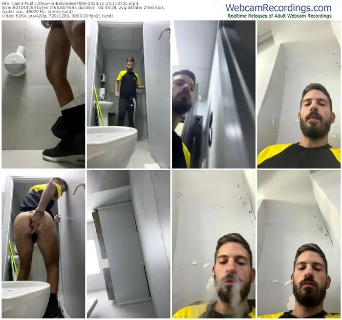 2024/11/15/cam4-belvedere7889-11-37-21