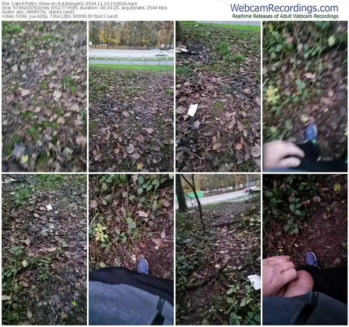 2024/11/15/cam4-outdoorgeil1-15-26-20