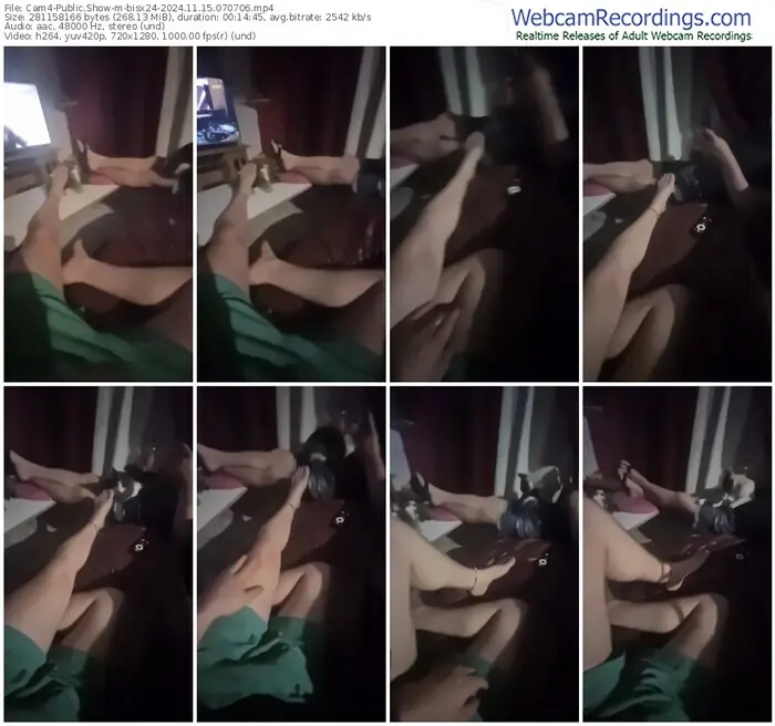 2024/11/15/cam4-bisx24-07-07-06