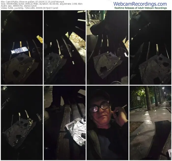 2024/11/15/cam4-pollen_07-19-37-46