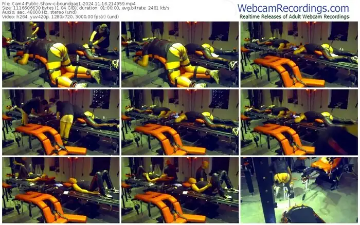 2024/11/16/cam4-boundgag1-21-49-59