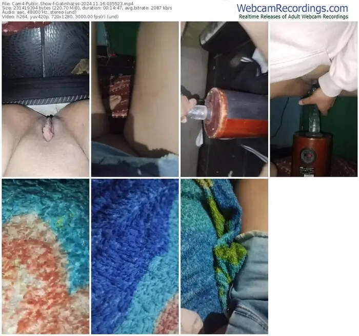 2024/11/16/cam4-gatinhazss-03-55-23