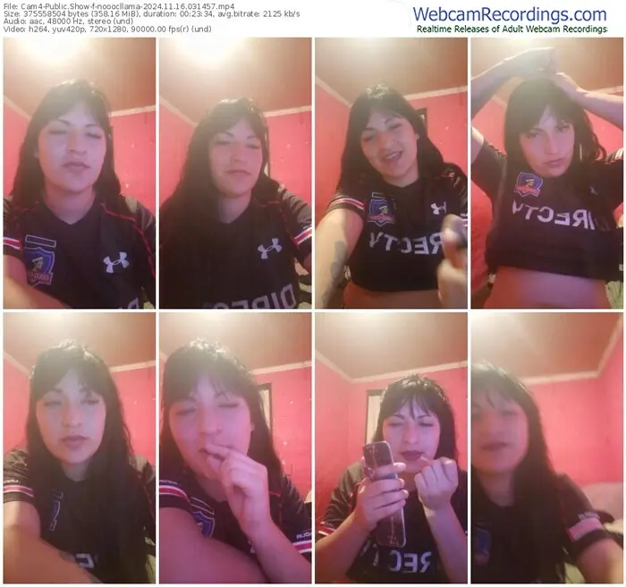 2024/11/16/cam4-nooocllama-03-14-57