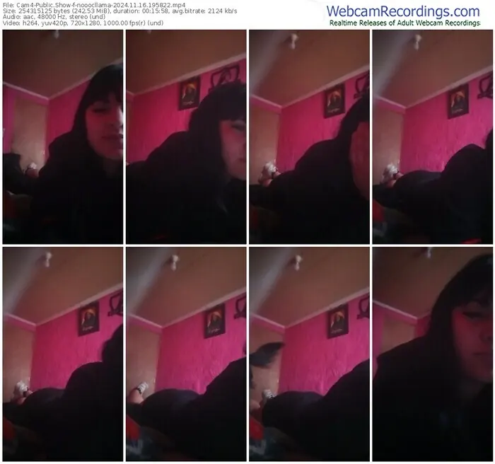 2024/11/16/cam4-nooocllama-19-58-22