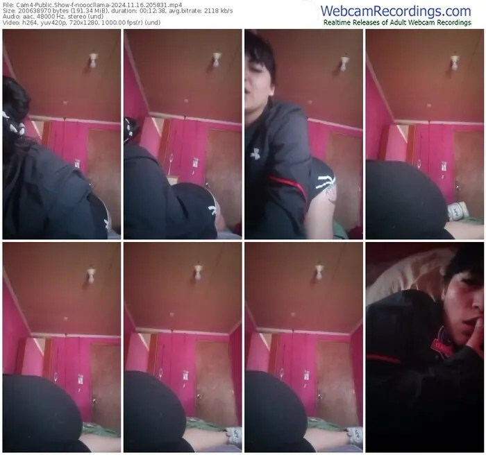 2024/11/16/cam4-nooocllama-20-58-31