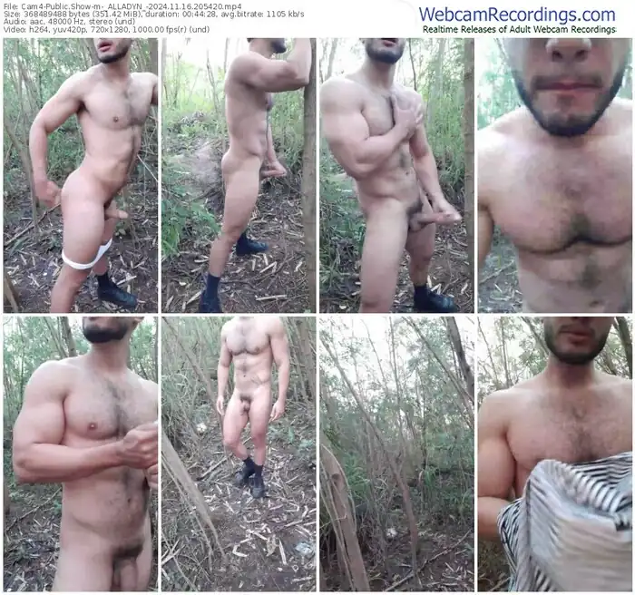 2024/11/16/cam4-_alladyn_-20-54-20