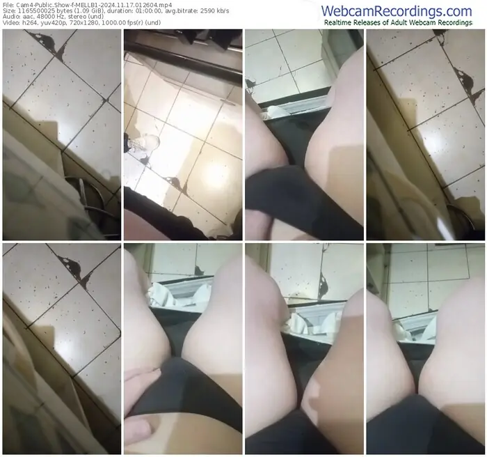 2024/11/17/cam4-mellb1-01-26-04