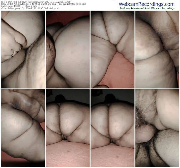 2024/11/17/cam4-parejabbw3334-23-38-19