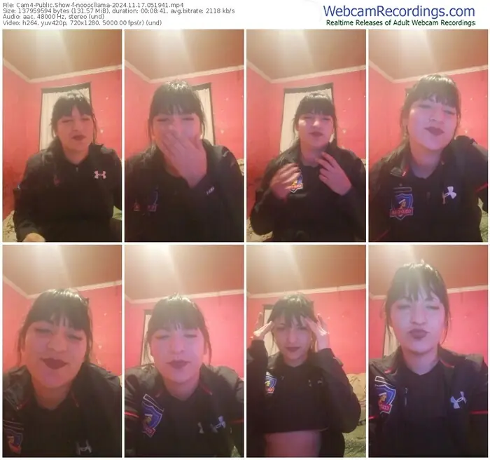 2024/11/17/cam4-nooocllama-05-19-41