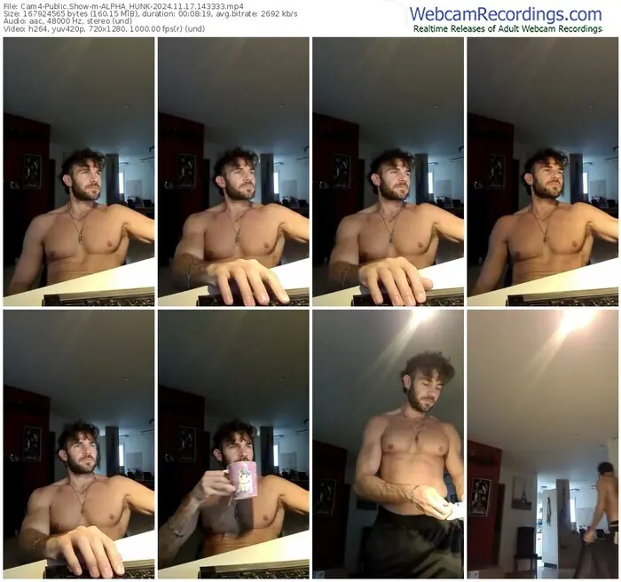 2024/11/17/cam4-alpha_hunk-14-33-33