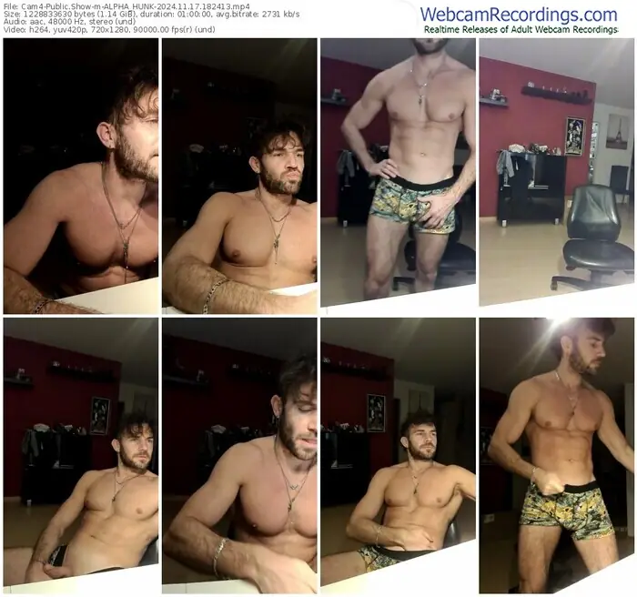 2024/11/17/cam4-alpha_hunk-18-24-13