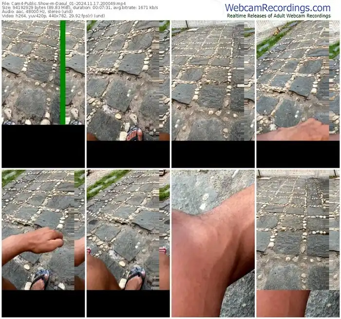 2024/11/17/cam4-dasul_01-20-00-49