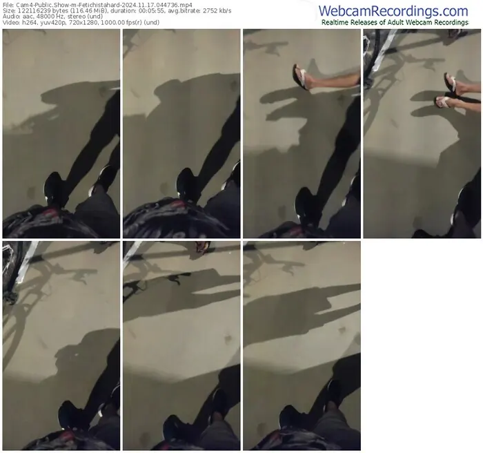 2024/11/17/cam4-fetichistahard-04-47-36