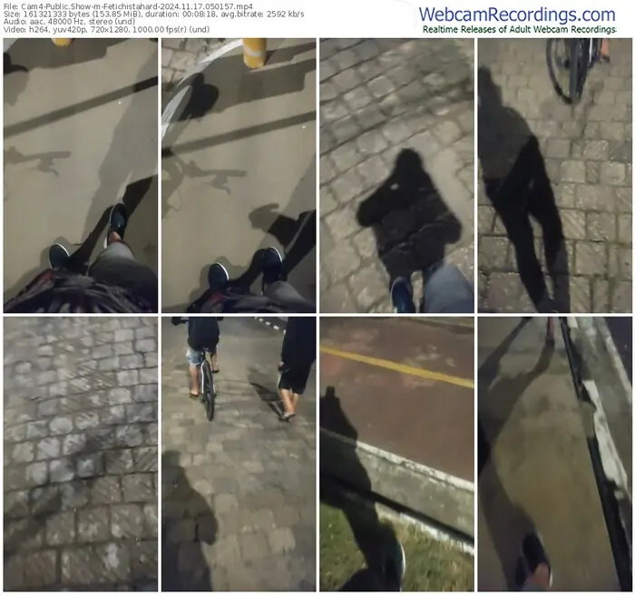 2024/11/17/cam4-fetichistahard-05-01-57