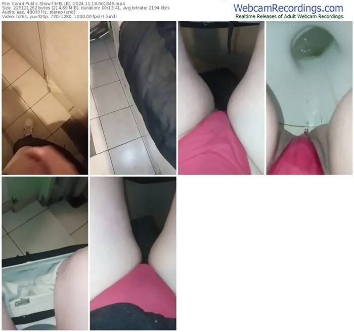 2024/11/18/cam4-mellb1-00-18-45