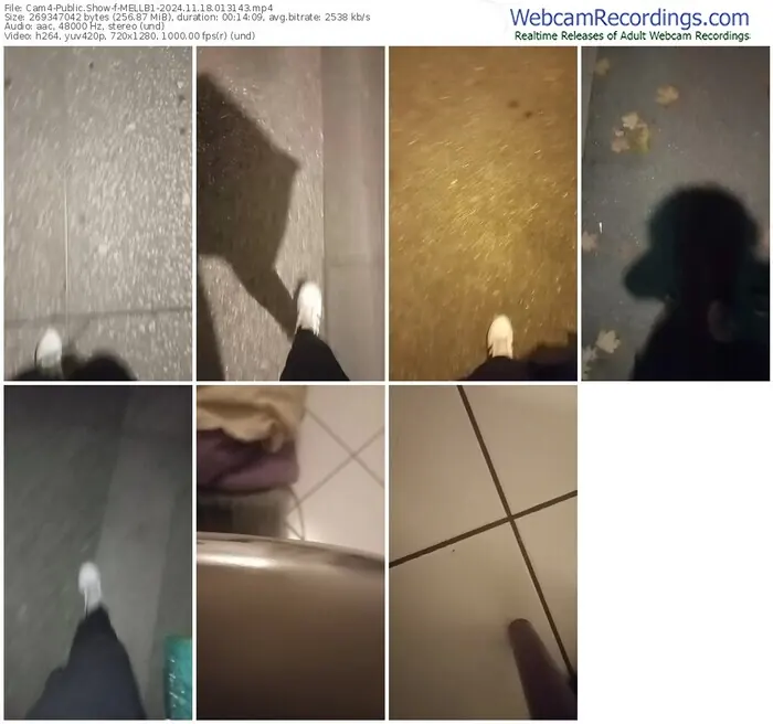 2024/11/18/cam4-mellb1-01-31-43