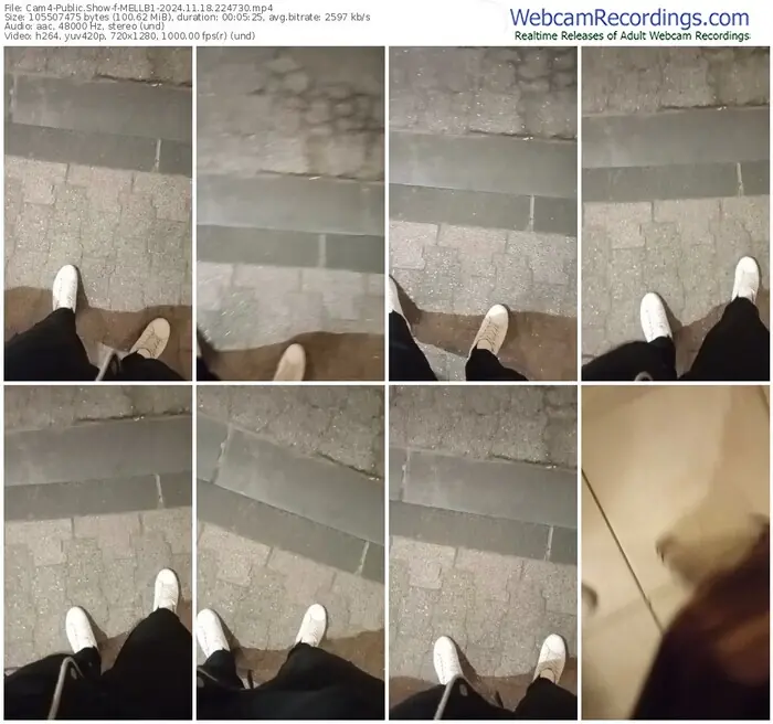 2024/11/18/cam4-mellb1-22-47-30