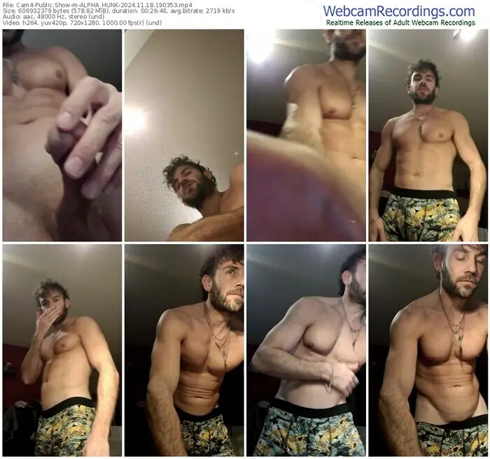 2024/11/18/cam4-alpha_hunk-19-03-53