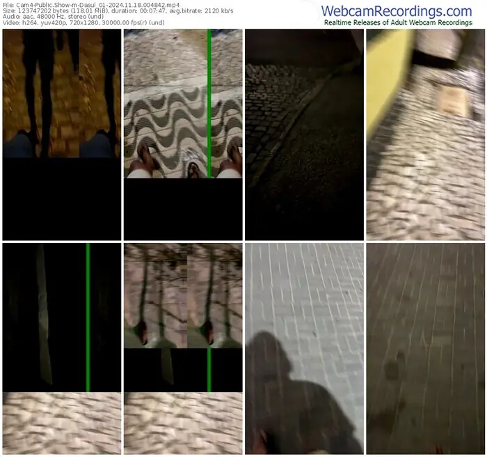 2024/11/18/cam4-dasul_01-00-48-42