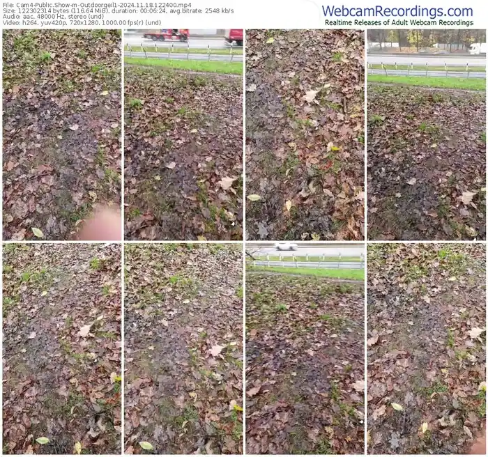 2024/11/18/cam4-outdoorgeil1-12-24-00