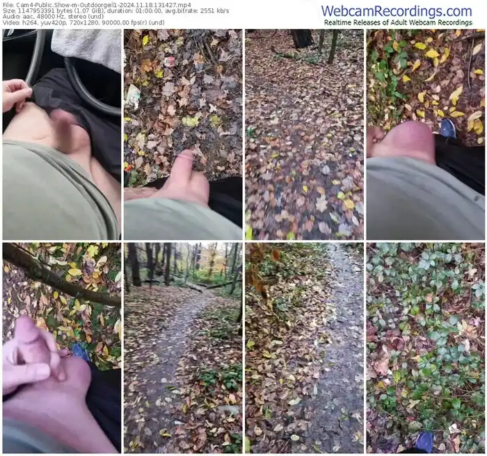 2024/11/18/cam4-outdoorgeil1-13-14-27