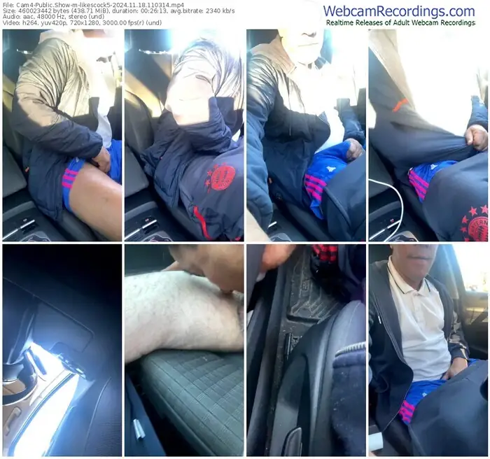 2024/11/18/cam4-likescock5-11-03-14