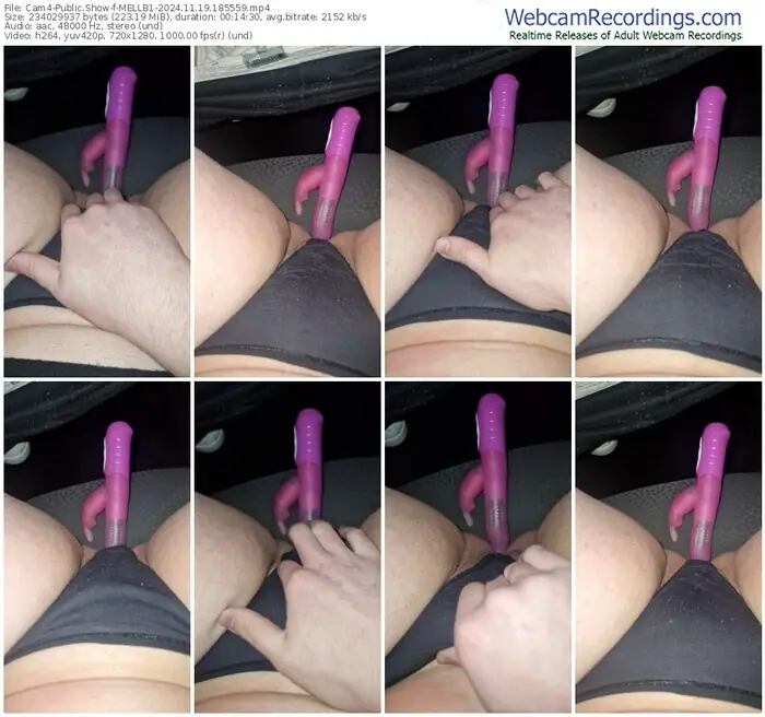 2024/11/19/cam4-mellb1-18-55-59