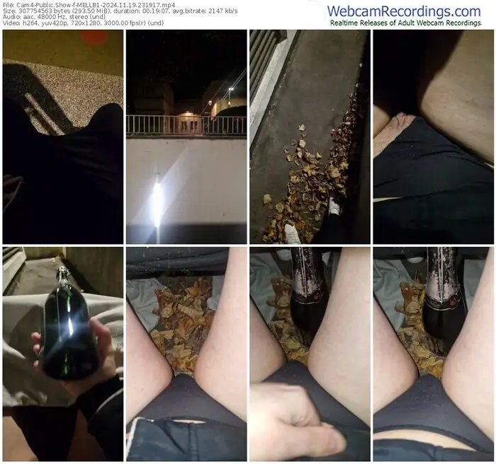 2024/11/19/cam4-mellb1-23-19-17