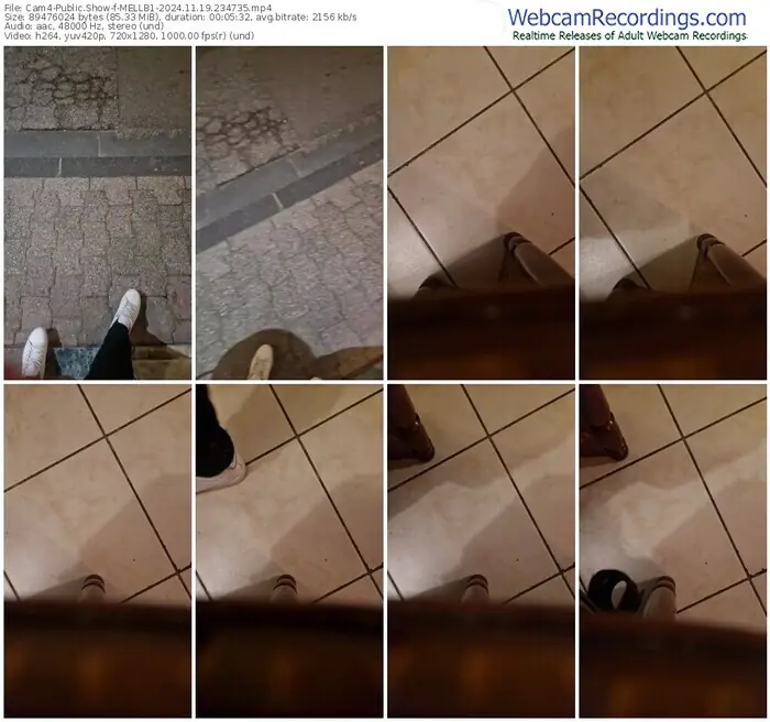 2024/11/19/cam4-mellb1-23-47-35