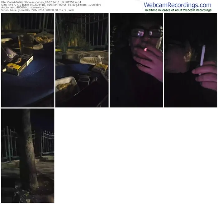 2024/11/19/cam4-pollen_07-18-15-52