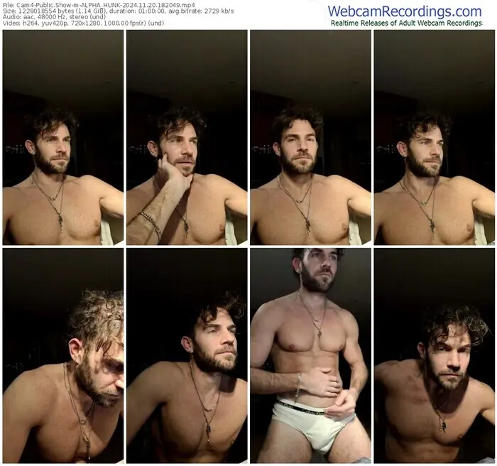 2024/11/20/cam4-alpha_hunk-18-20-49
