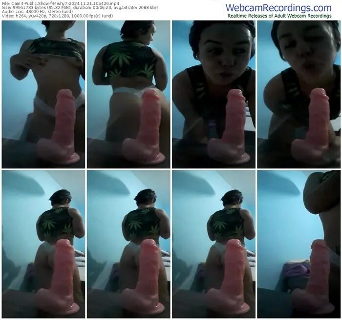 2024/11/21/cam4-mishy7-10-54-26