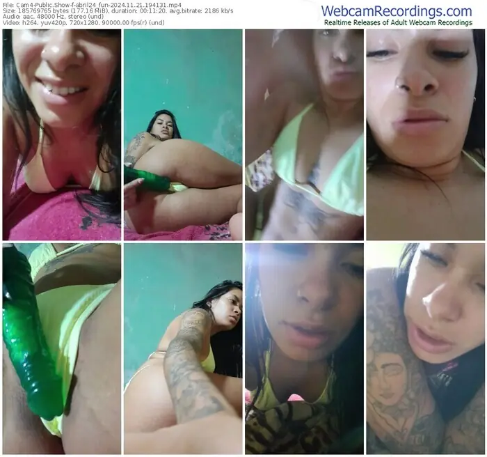 2024/11/21/cam4-abril24_fun-19-41-31