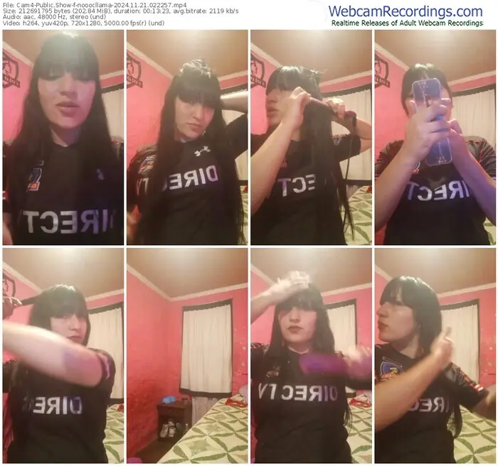 2024/11/21/cam4-nooocllama-02-22-57