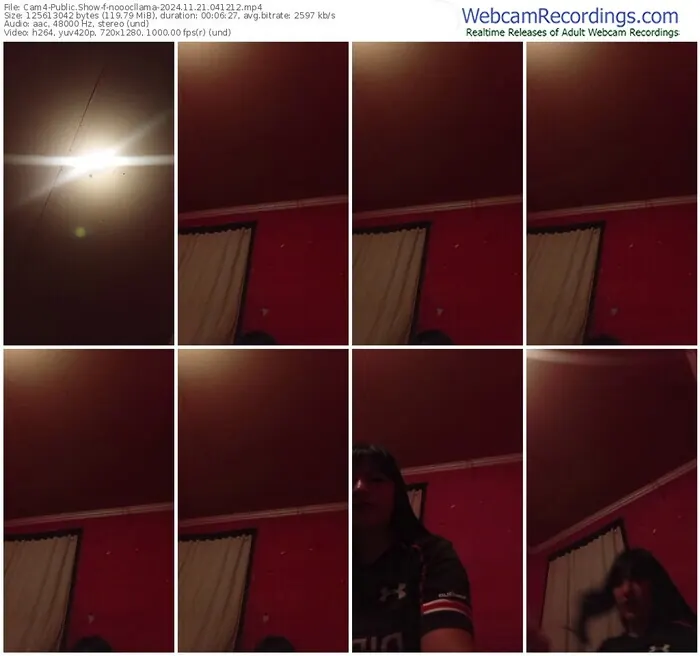 2024/11/21/cam4-nooocllama-04-12-12