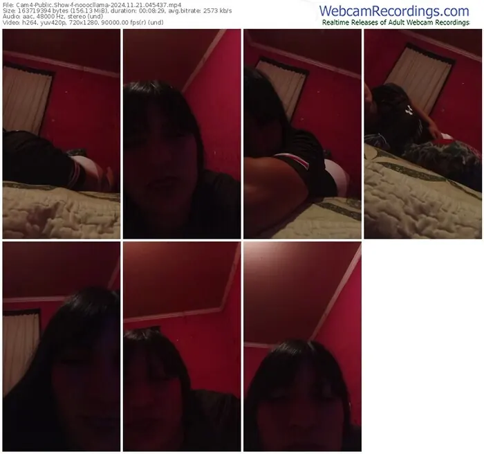 2024/11/21/cam4-nooocllama-04-54-37