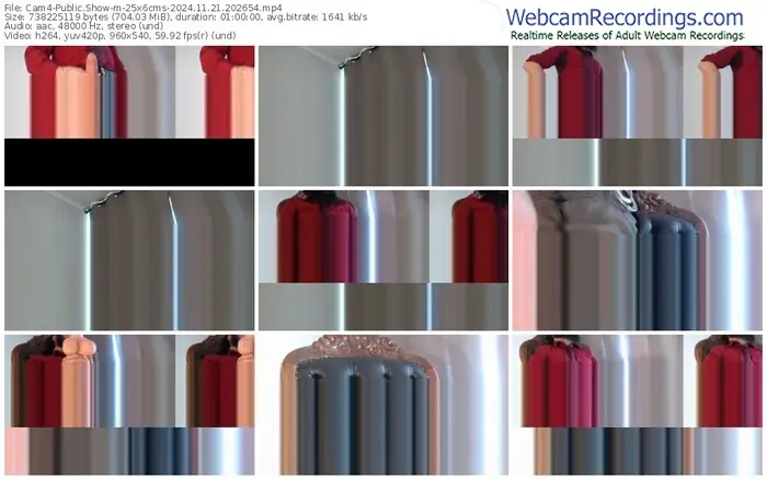 2024/11/21/cam4-25x6cms-20-26-54