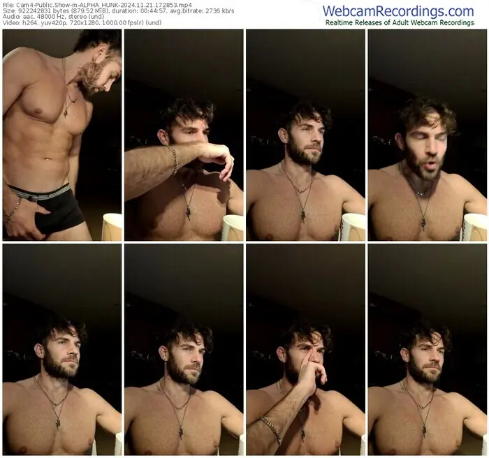 2024/11/21/cam4-alpha_hunk-17-28-53