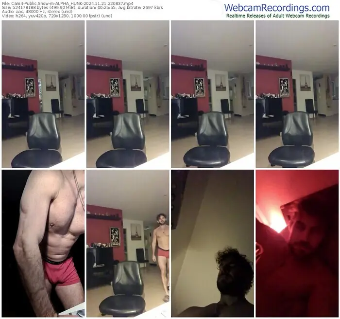 2024/11/21/cam4-alpha_hunk-22-08-37