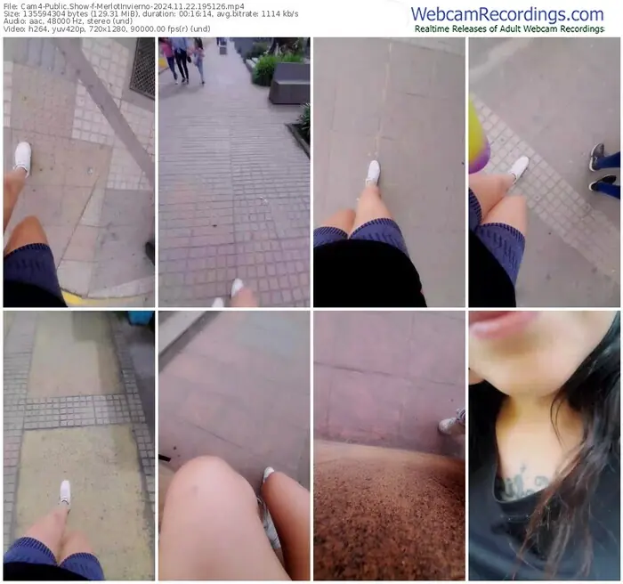 2024/11/22/cam4-merlotinvierno-19-51-26