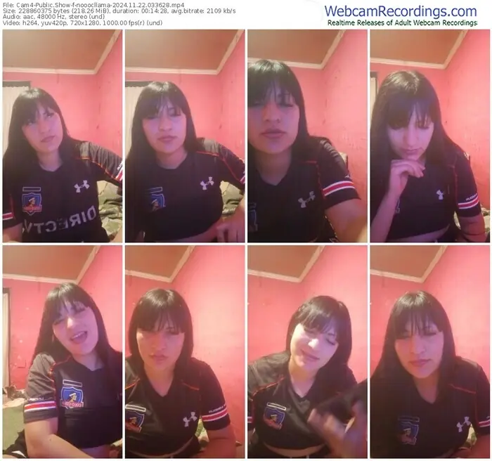 2024/11/22/cam4-nooocllama-03-36-28
