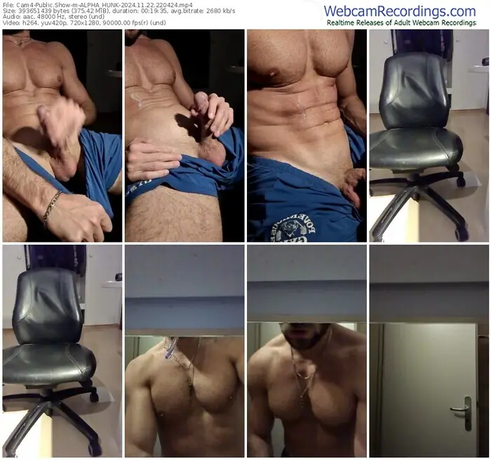 2024/11/22/cam4-alpha_hunk-22-04-24