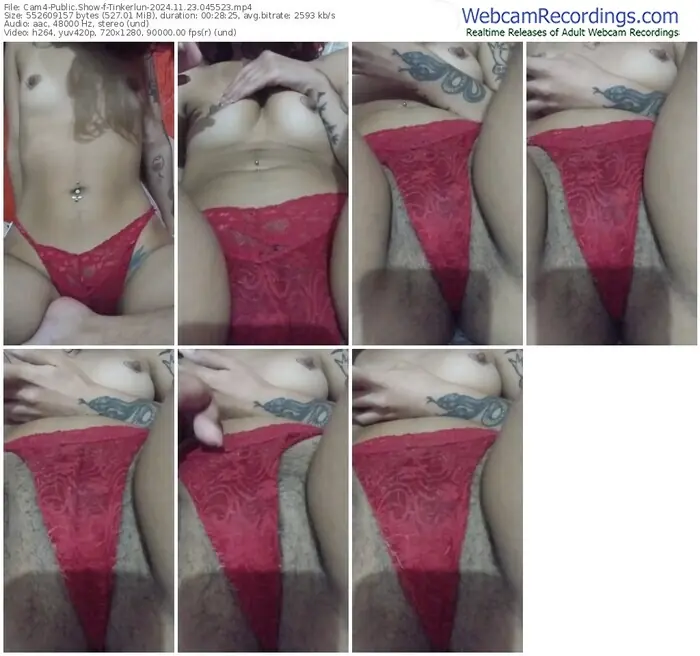 2024/11/23/cam4-tinkerlun-04-55-23