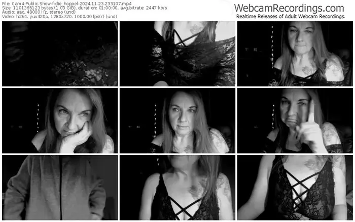 2024/11/23/cam4-die_hoppel-23-31-07