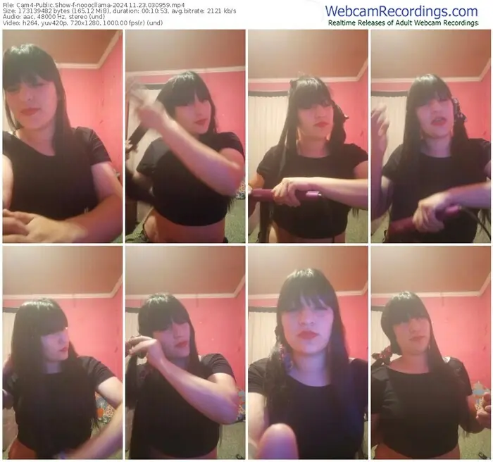 2024/11/23/cam4-nooocllama-03-09-59