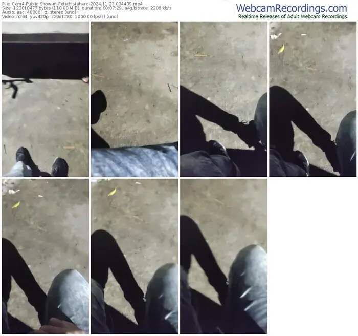2024/11/23/cam4-fetichistahard-03-44-39