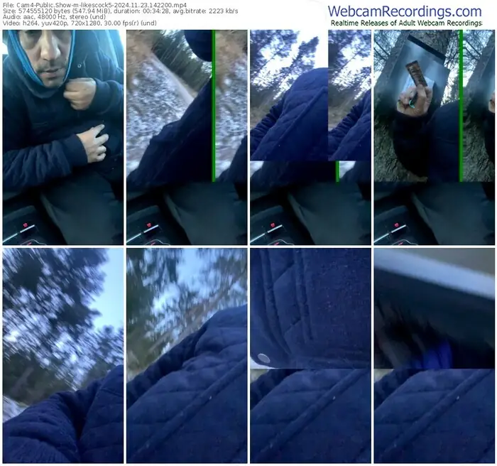 2024/11/23/cam4-likescock5-14-22-00