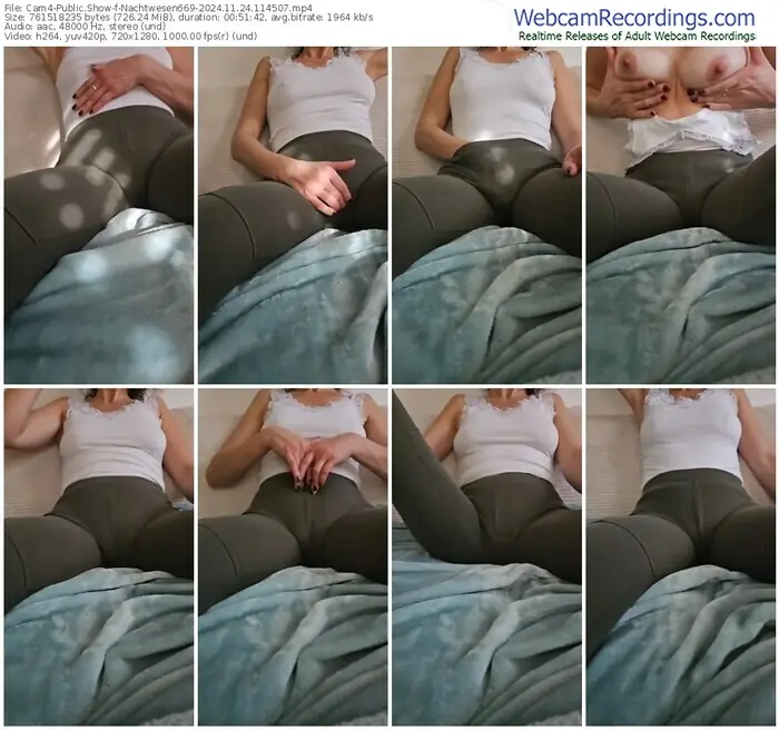 2024/11/24/cam4-nachtwesen669-11-45-07